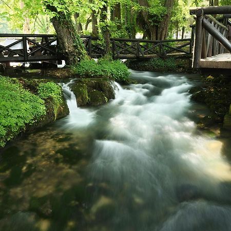 Garni Hotel Vila Drina Perucac Esterno foto