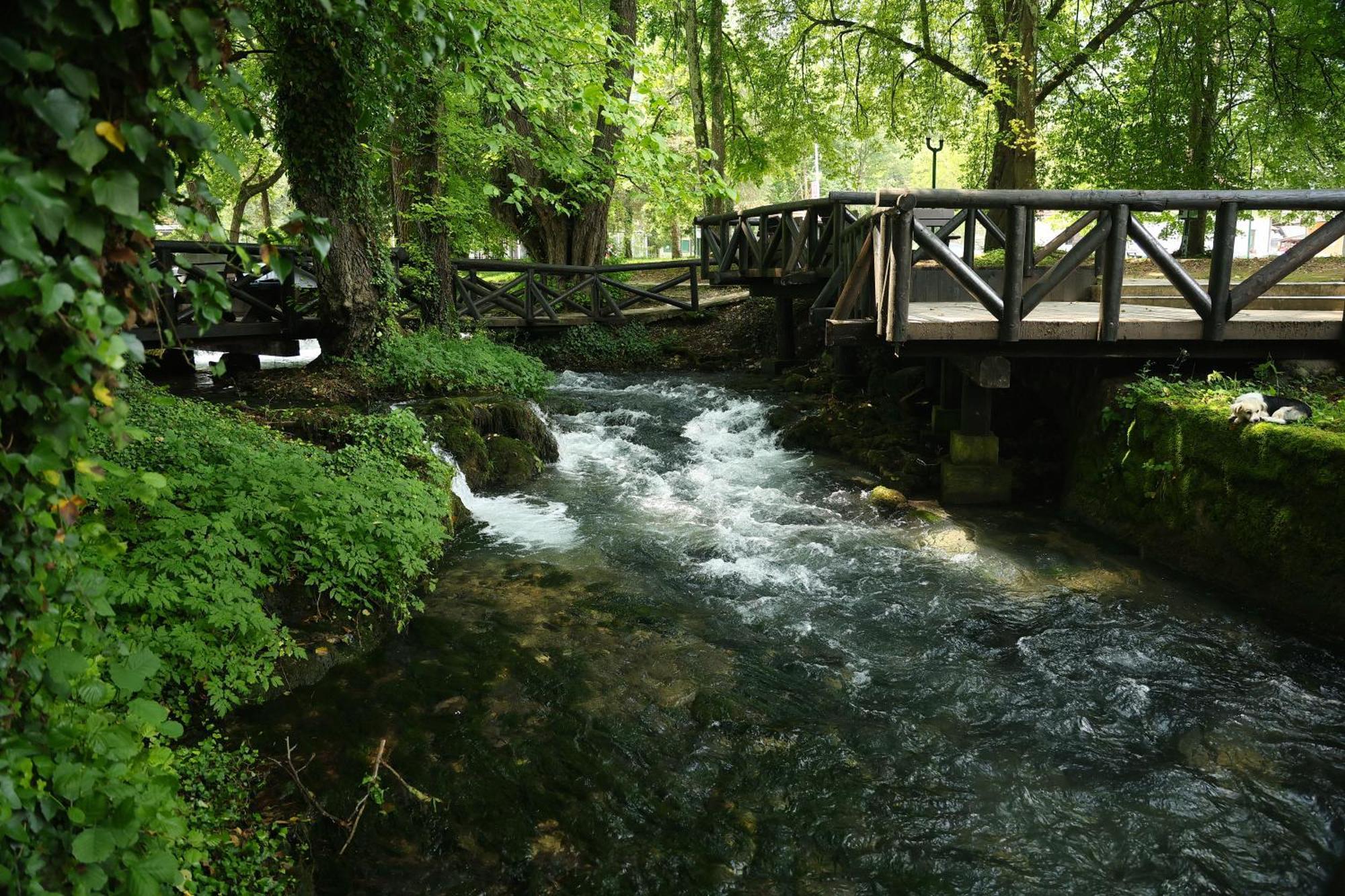 Garni Hotel Vila Drina Perucac Esterno foto