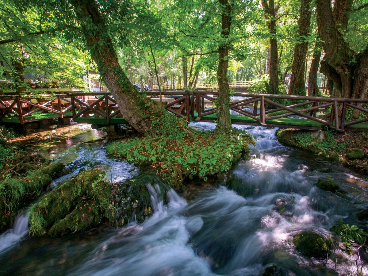 Garni Hotel Vila Drina Perucac Esterno foto