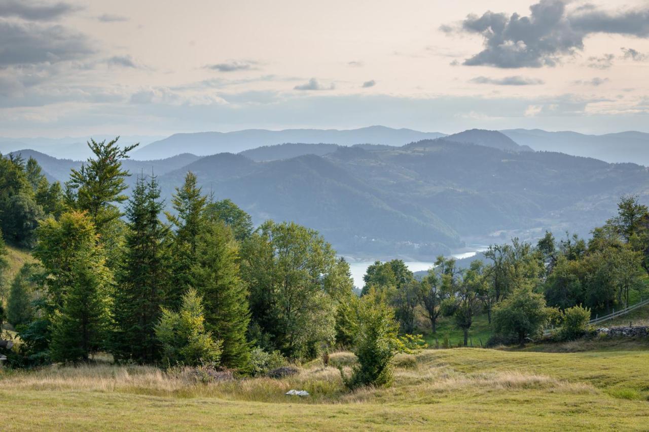 Garni Hotel Vila Drina Perucac Esterno foto